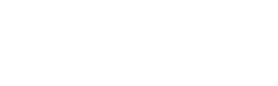 BudgetPos Logo